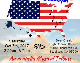 Showflyer